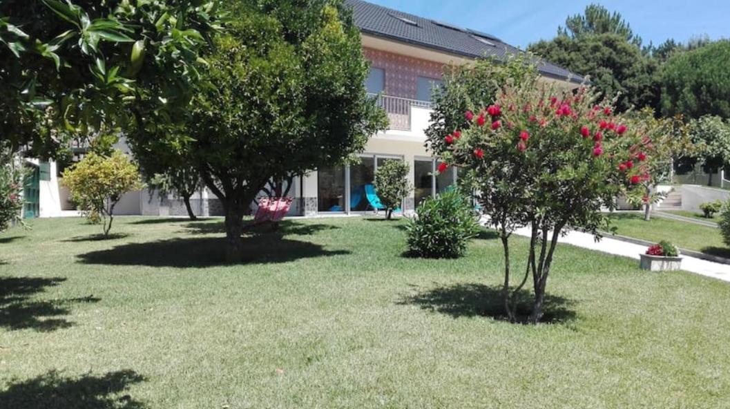 카민하 Casa Da Cavada 빌라 외부 사진